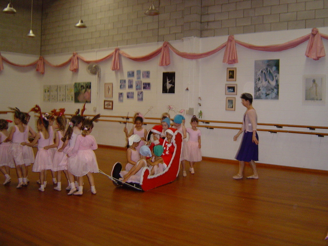 My  Christmas Ballet Show