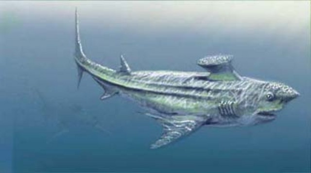Carboniferous