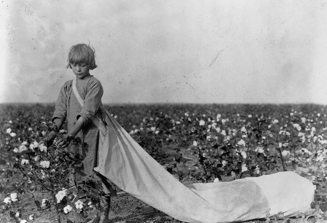 Vámonos a California