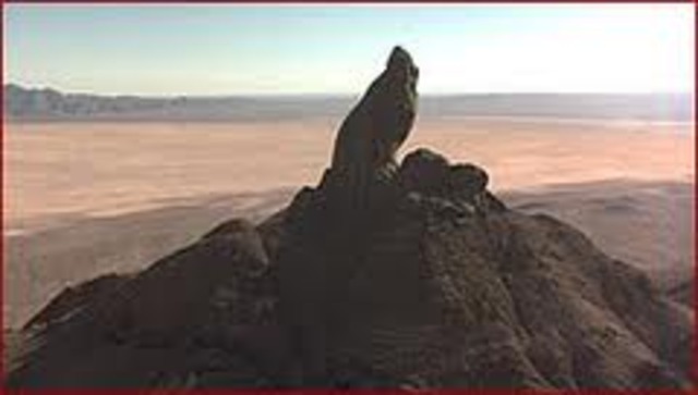 Stanley and Zero headed to "God's Thumb"