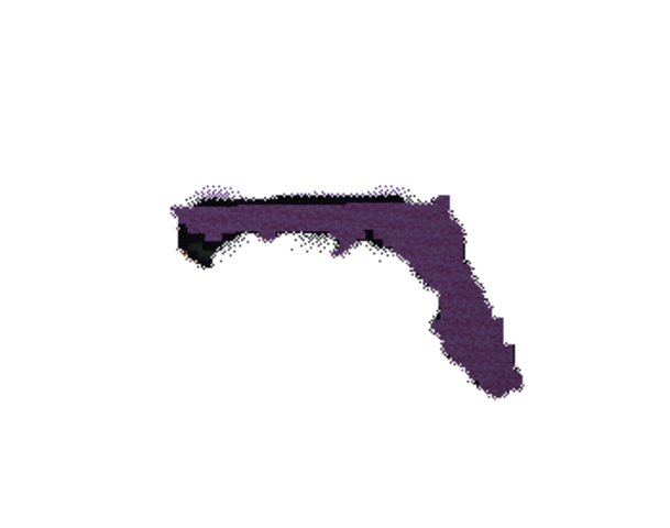 Acquisition of Florida from Spain