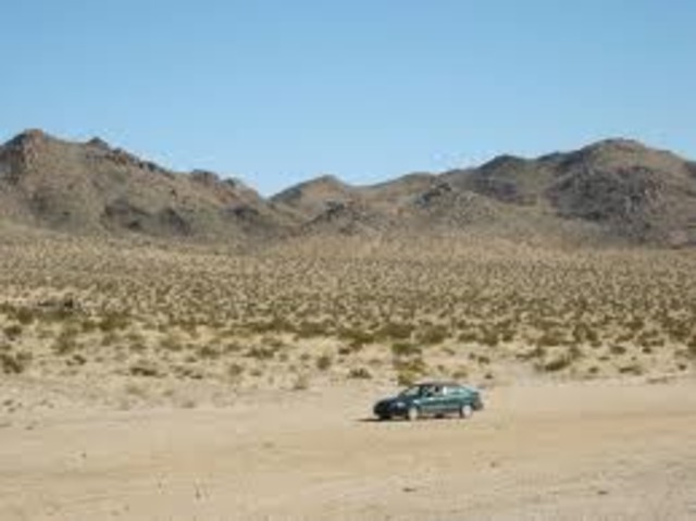 The lawyer came to take Stanley and Zero home