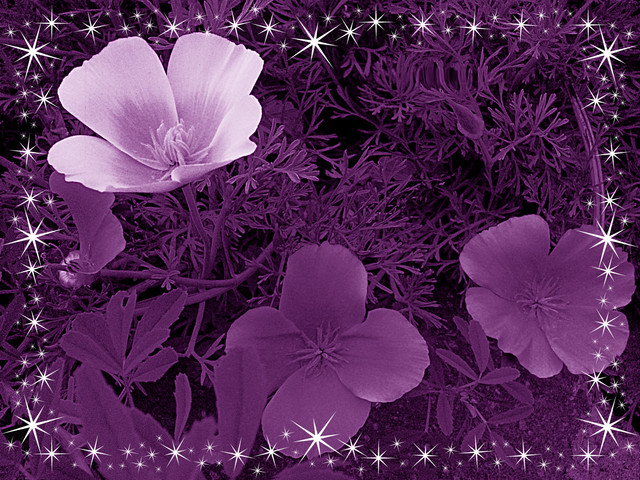 Imagen editada con photoshop