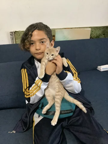 When I adopted another cat