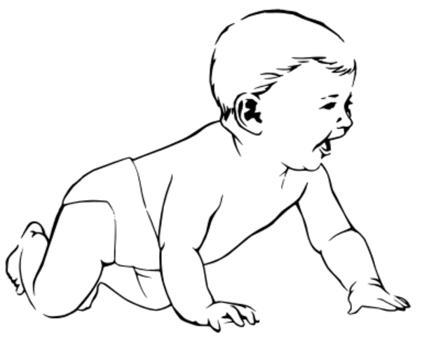 Infant begins to crawl.