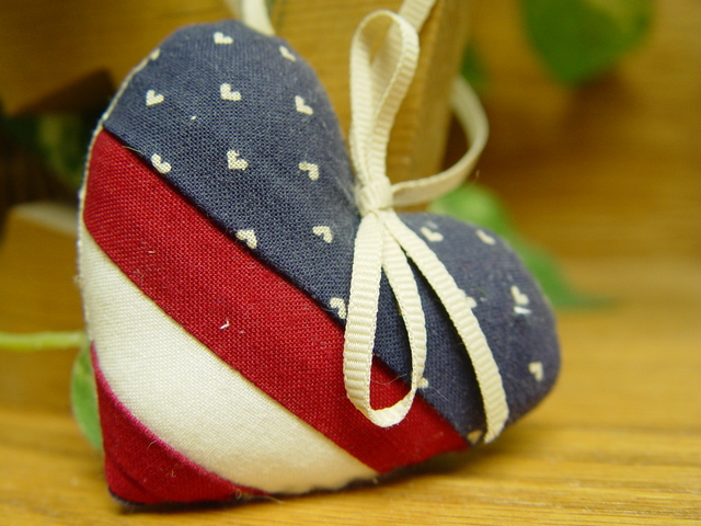 Heart develops left and right chambers.