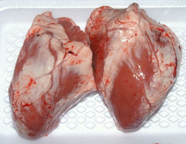 Heart develops right and left chambers.