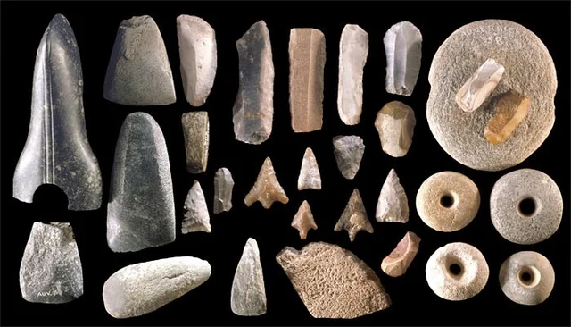 Expedición  Por La Edad De Piedra