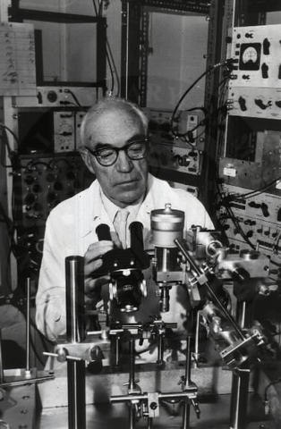 Australian of the Year