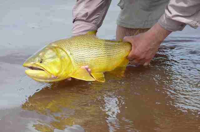 When me and my dad went fishing