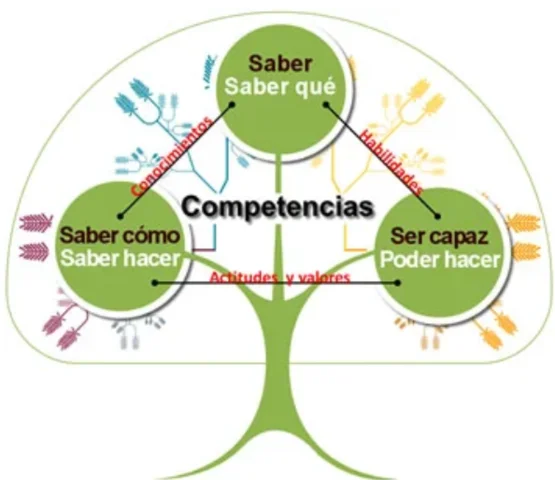 Enfoque por competencias en los sistemas educativos (2000)