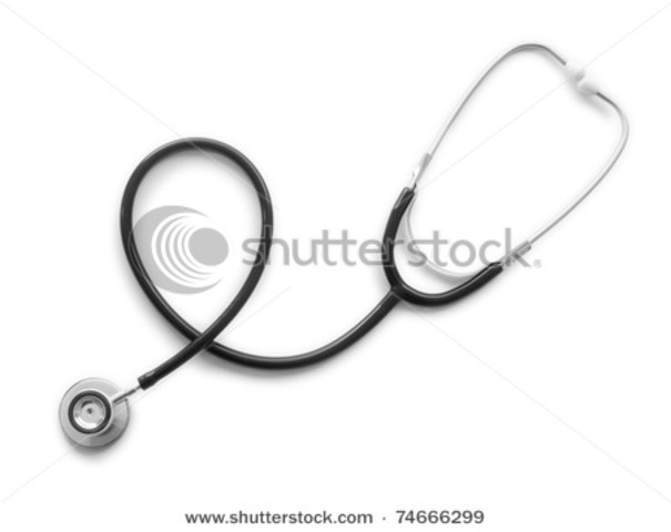 Bones are visible.  Heartbeat can be heard with a stethoscope.