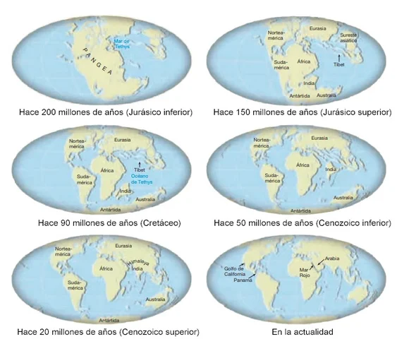 252 m.a - 201 m.a: Separación de Pangea