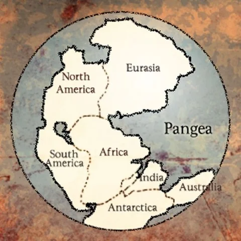 270 m.a: Formación de Pangea