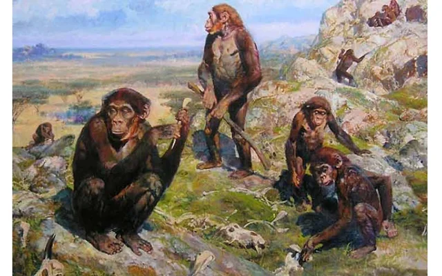 2 m.a: Aparición de los primeros homínidos