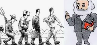 Siglo XIX-XX, División de las ciencias sociales