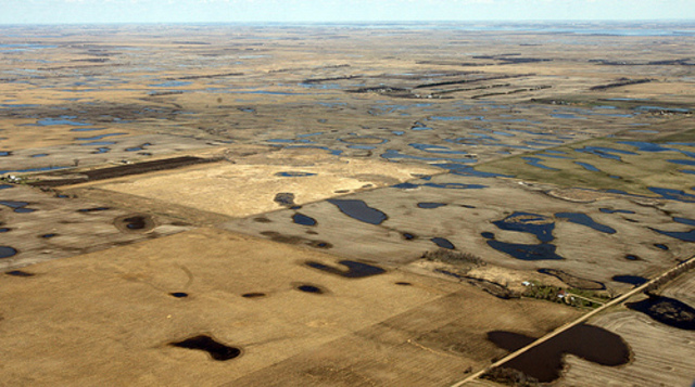 Spring planting setback; Wet fields force farmers to adjust plans