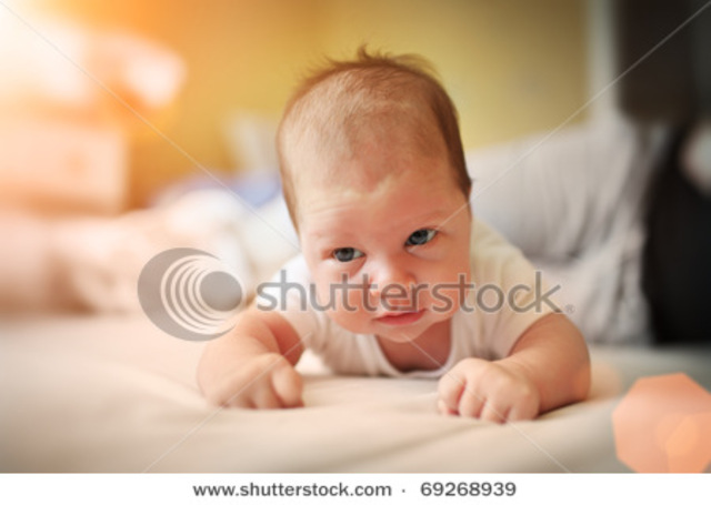 Infants begin to crawl