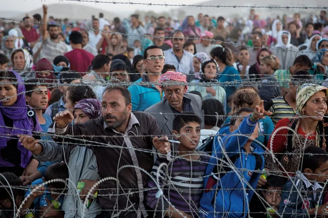 causa politica: refugiados sirios