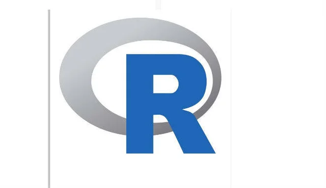 Año de creación de Lenguaje de programación R