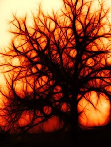 UrbanWalker - retired