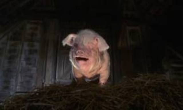 Old Major Makes Speech