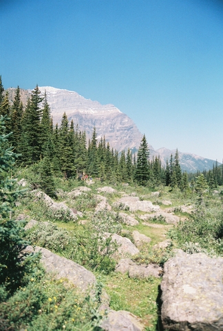 when I went to summer camp