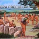 Epoca precolombiana