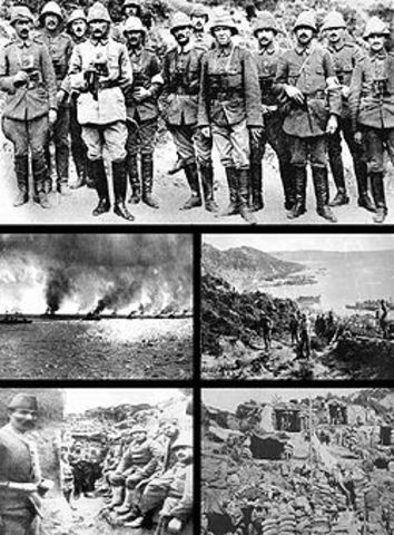 Launch the Gallipoli campaign