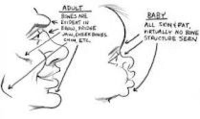 bones are vsable, and heartbeat are herad