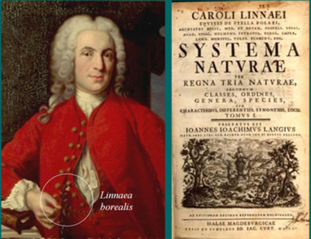 Carl Linnaeus