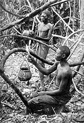 Anenexation of Congo free state
