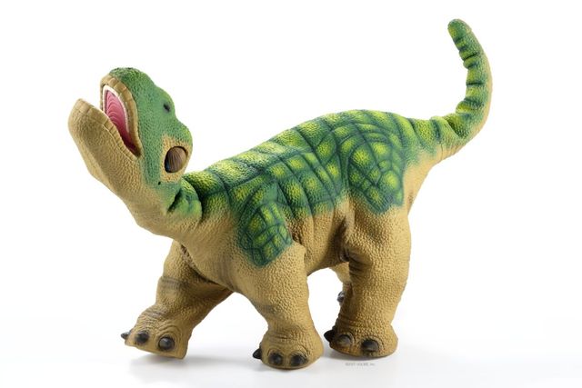 Interactive Robot Pets