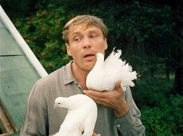 «Любовь и голуби»