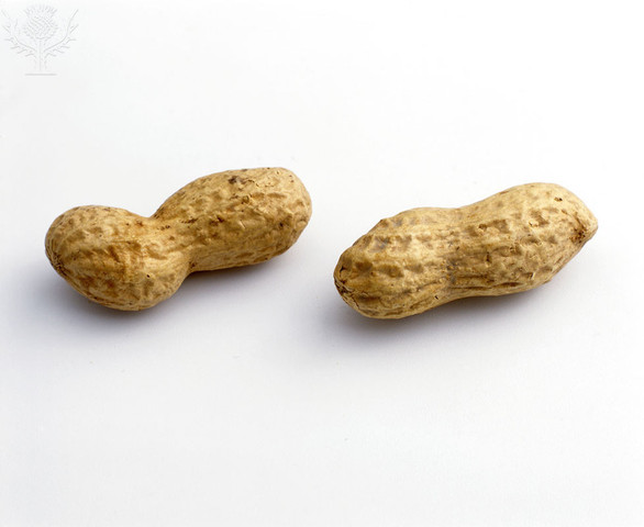 Peanuts