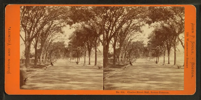 Stereoscopic photos & viewers