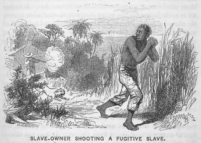 Fugitive Slave Act