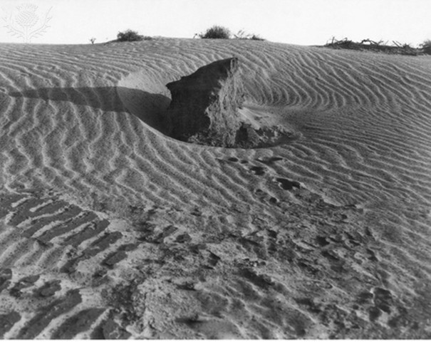 The Kansas Dust Bowl starts.