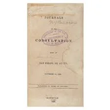 The Consultation