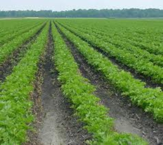 National (Newlands) Reclamation Act