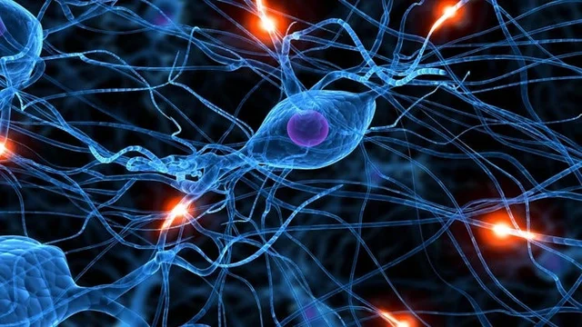 Redes Neuronales