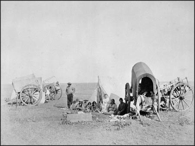 Metis Migrate due to Lack of Bison