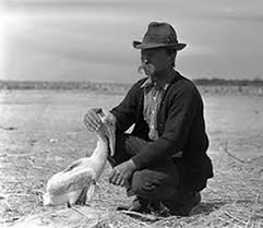 Pelican Island, Florida named first national wildlife refuge