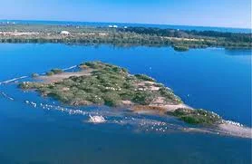 Pelican Island, Florida named first national wildlife refuge