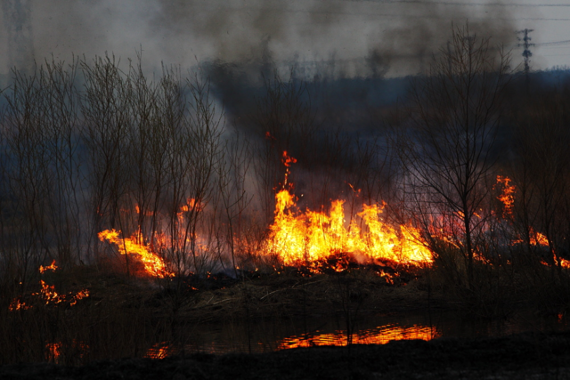 They Build A Fire pg.40