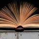 Literature 3288098 1920