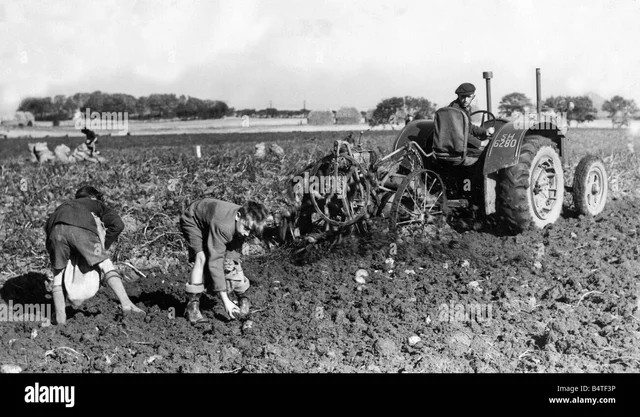 Invention of Agriculture
