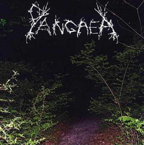 Permian Period - 280-225 MYA