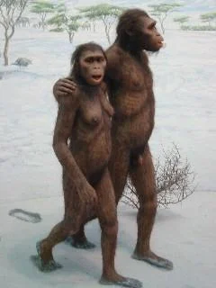 Australopithecus (4,000,000 a.C)