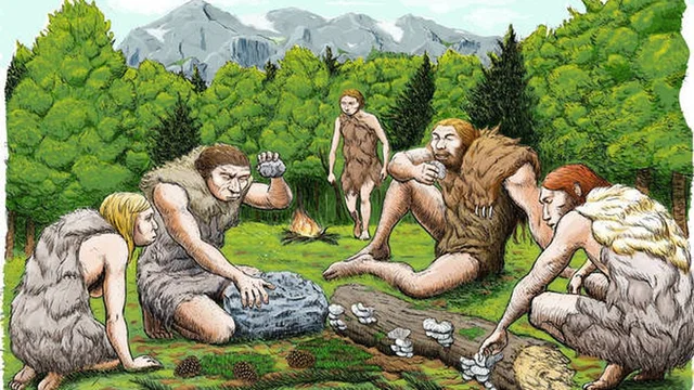 Homo neanderthalensis 230,00 a.C.